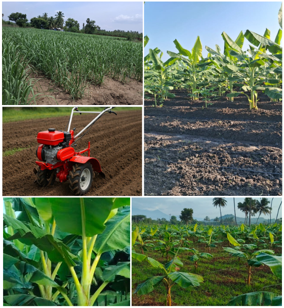 Power Tiller services in Coimbatore